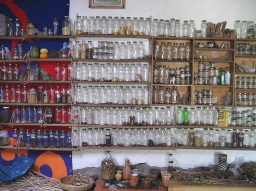 The seed collection at Arariwakuna Casa de Semillas